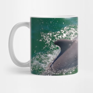 The Dolphin! Mug